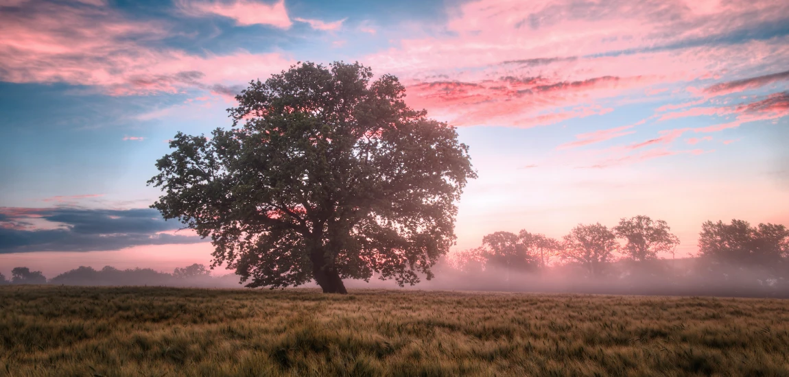 Hidden Gems Beyond the Hotspots: Underrated RV Campgrounds to Explore in 2025