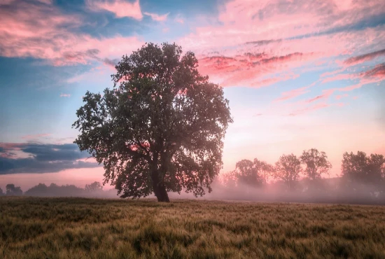 Hidden Gems Beyond the Hotspots: Underrated RV Campgrounds to Explore in 2025