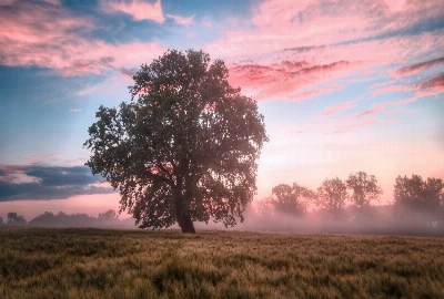 Hidden Gems Beyond the Hotspots: Underrated RV Campgrounds to Explore in 2025