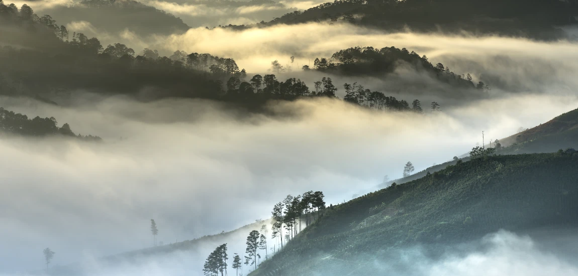 Life on the Road: Asia’s Best Campgrounds for 2025 – From Mountains to Beaches