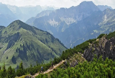 Wildlife Spotting Road Trips on a Budget: Summer 2025